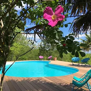 le-triangle-dor.midi-pyreneeshotels.com/
